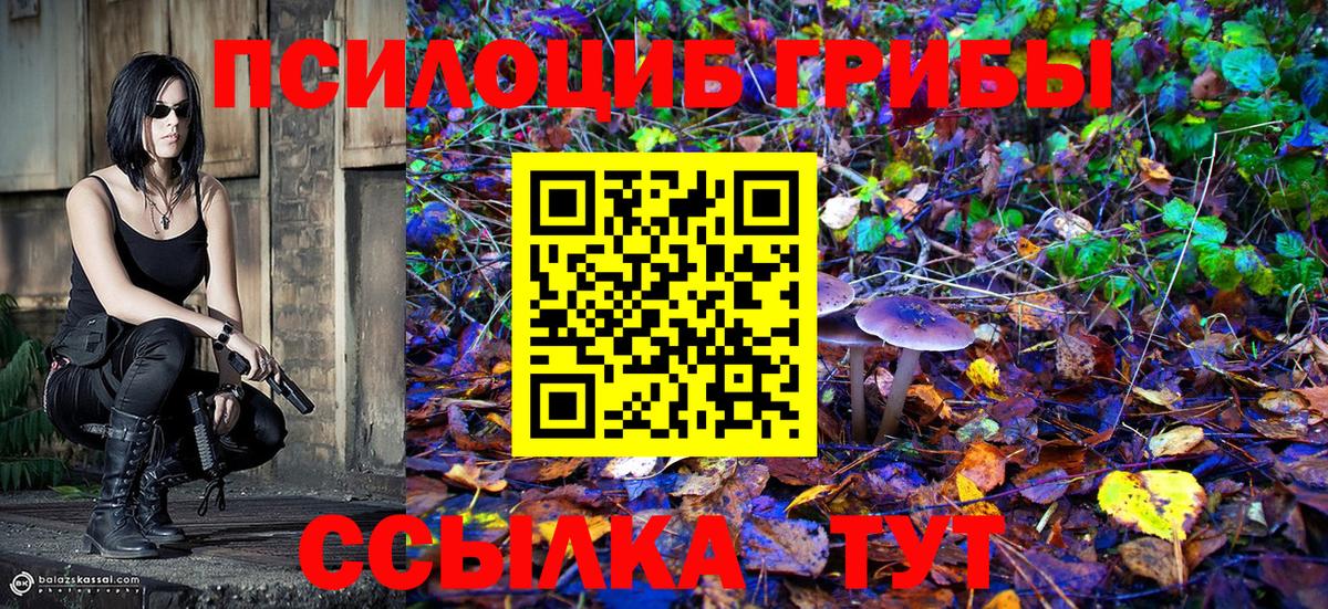 Псилоцибиновые грибы ЛСД  даркнет сайт  Городец  Вход с VPN  Галлюциногенные грибы GOLDEN TEACHER 